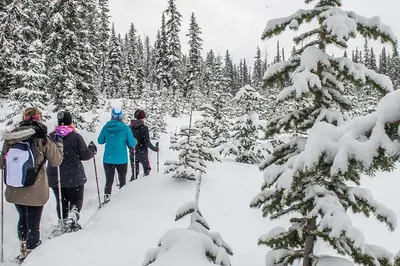 a group of people cross country skiing in the snow at The Aspens 5 w/ Hot Tub in Big White