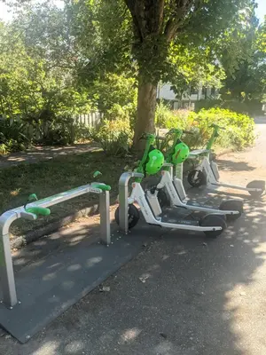 two exercise bikes parked next to a tree at 2 Bed Apartment Free Parking Central Location in Vancouver