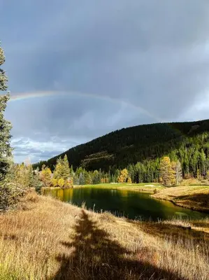 a lake in the middle of a field with trees at Cozy apartment in the heart of Panorama in Panorama