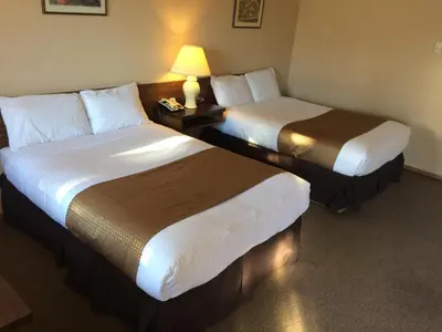 a hotel room with two beds and a lamp at Siesta Motel in Olds