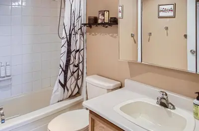 a bathroom with a sink and a toilet and a shower at Ponderosa Inn by Okanagan Premier in Big White