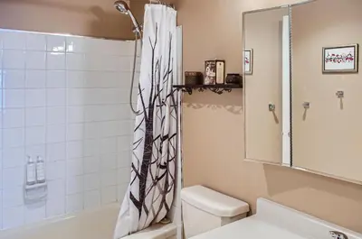 a bathroom with a shower curtain and a toilet at Ponderosa Inn by Okanagan Premier in Big White