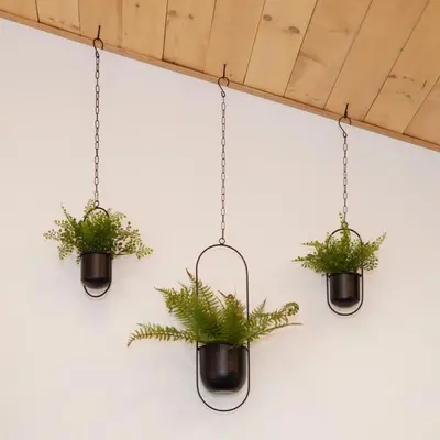 two potted plants hanging on a wall at Coastal Creative Garden Studio in Colwood