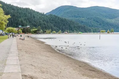 a beach with a group of people and ducks in the water at The Nook, Top Floor Suite with Lake and Mtn View in Harrison Hot Springs