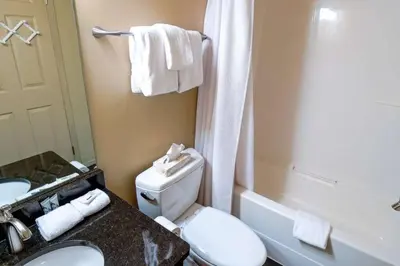 a bathroom with a toilet and a sink and a shower at Thunder Ridge Chalet by Fernie Lodging Company in Fernie