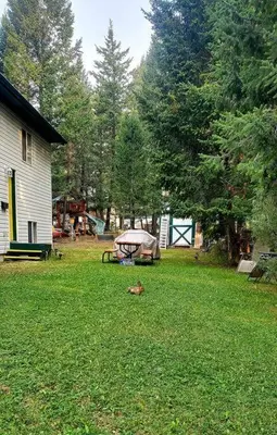 a backyard with a picnic table in the grass at EVCharger, Free Parking, Ski, Golf, BBQ, Awesomeness in Invermere