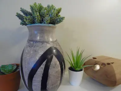 a vase with plants in it next to some potted plants at EVCharger, Free Parking, Ski, Golf, BBQ, Awesomeness in Invermere