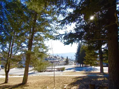 a view of a park with trees and a street at EVCharger, Free Parking, Ski, Golf, BBQ, Awesomeness in Invermere