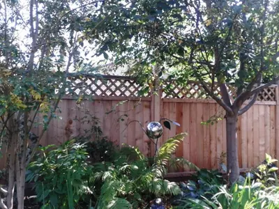 a wooden fence with a tree in front of it at Phoenix House B&B in Stettler