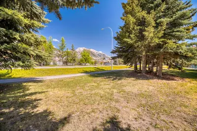 a road with trees and a street light at Bow Valley Chalets-Entire 2 King Bedrooms townhouse in Canmore