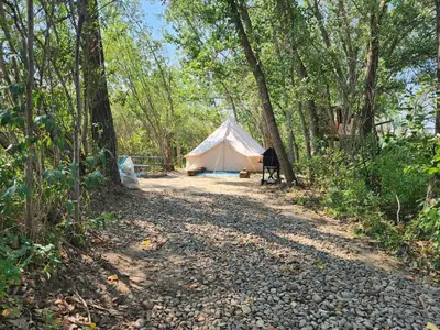a white tent in the middle of a forest at #Y3 Willow Tree Yurt in Drumheller