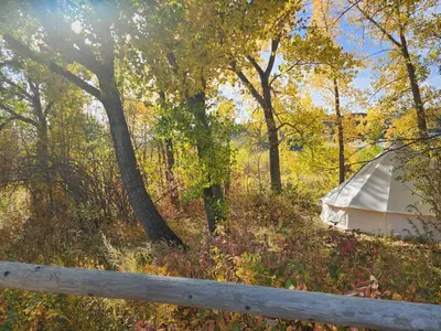 a white tent in the woods next to a fence at #Y7 Whole New World Yurt in Drumheller