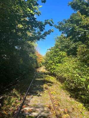 an empty train track in the middle of trees at Cowichan Valley Guest Cottage in Ladysmith