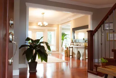 a hallway with a potted plant in a house at Welcome Home in North Vancouver