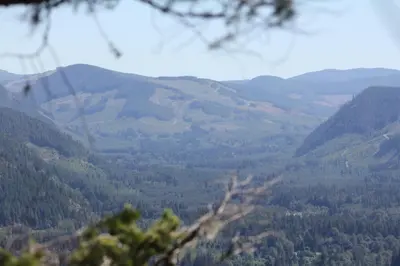 a view of a valley with trees and mountains at Cottonwood#2 in Youbou