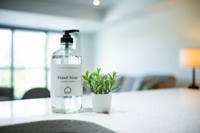 a bottle of hand soap sitting next to a potted plant at Le Chamois by Outpost Whistler in Whistler