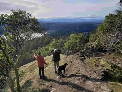 two people and a dog walking on a hill at The Nest in Lantzville