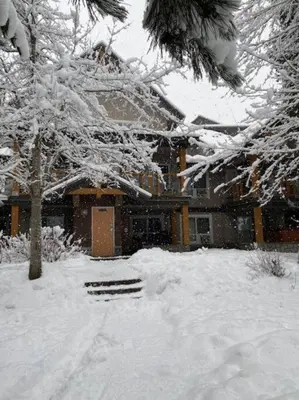a snow covered yard with a house and trees at Cozy Townhouse in Whistler Village North in Whistler