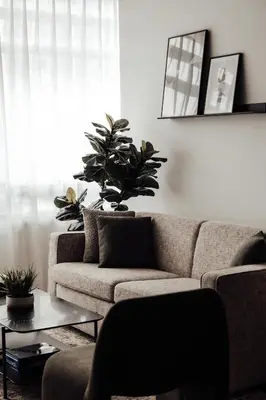 a living room with a couch and a potted plant at Smithe House in Vancouver