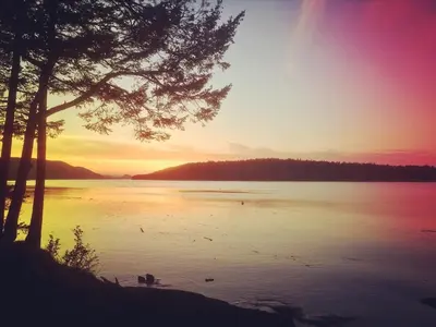 a sunset over a lake with a tree in the foreground at Gabriola Island B&B By The Sea in Gabriola