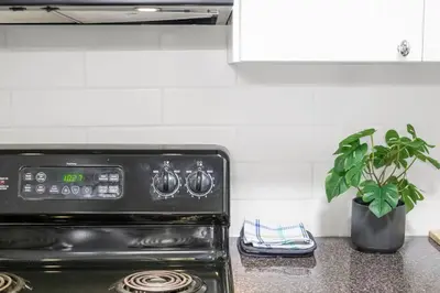 a stove top oven in a kitchen with a potted plant at Modern & Unique Studio Unit in Edmonton