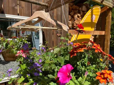 a garden with colorful flowers and a yellow chair at Blue Cedar Suite in Tofino