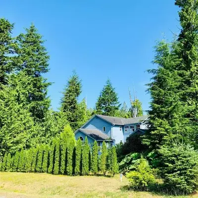 Blue Cedar Suite