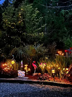 a garden with a flamingo and christmas lights at The White Rabbit Inn in Courtenay