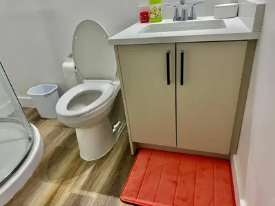a bathroom with a toilet and a sink and a red mat at DreamLand Farms, Edmonton in Duffield