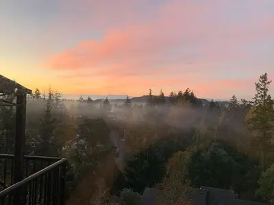 a view of a foggy forest at sunset at Super wow view! in Victoria