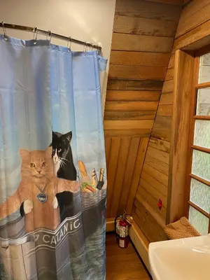 two cats sitting on a shower curtain in a bathroom at Bratty Catty Cabin in Powell River