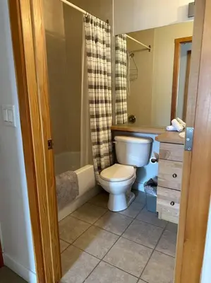 a bathroom with a toilet and a shower and a sink at W463 Canmore 2BD 2BT, AC, MT view, Central Location in Canmore