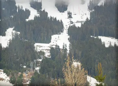 a snow covered mountain with trees and a ski slope at Mid Century Modern - Studio w Pool & Hot Tub in Whistler