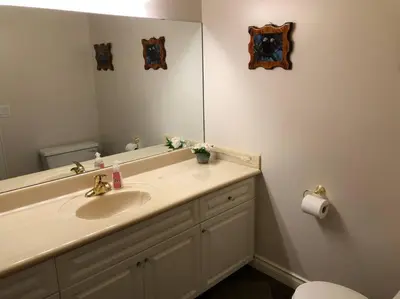 a bathroom with a sink and a large mirror at Heated pool, hot tub, 4 AC lake view bedrooms in West Kelowna
