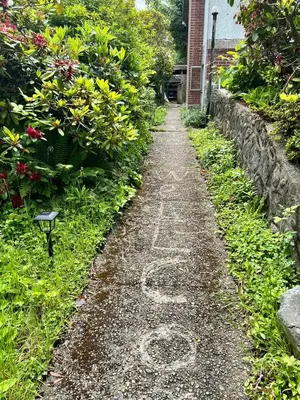 a dirt road in a garden with flowers and plants at Green House in Vancouver West in Vancouver
