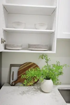 a kitchen cabinet with plates and a plant on a counter at Elegant Escape with King Bed, Long Stays, WEM, Disney in Edmonton
