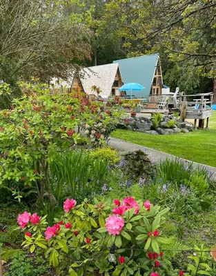 a garden with flowers and a house in the background at Gracies Grotto Cabin in Powell River