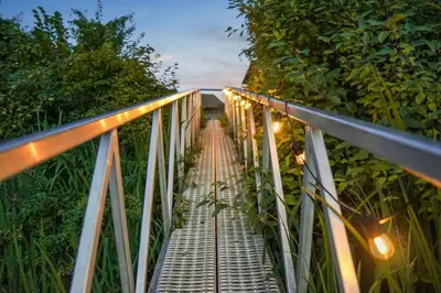 a bridge over a forest with lights on it at Riverside by Cowichan Lake Cottages in Lake Cowichan