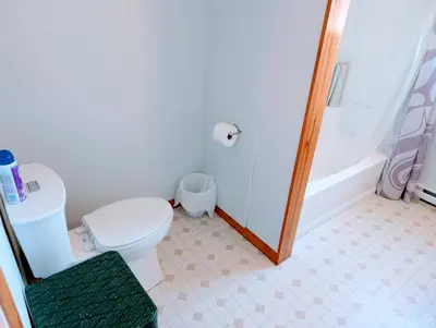 a bathroom with a white toilet and a shower at Cliff Haven on the Bay in Alert Bay
