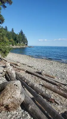 a group of logs on a rocky beach near the water at Haven Touchstone in Roberts Creek