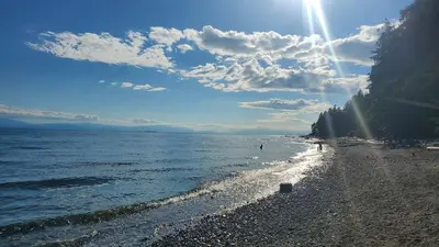 a beach with people walking on the water at Haven Touchstone in Roberts Creek