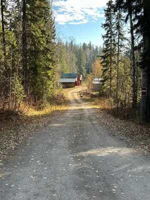 a dirt road with a barn in the woods at Cozy cabin in Clearwater