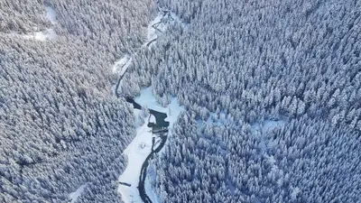 an aerial view of a snow covered forest at Cozy Creek Den - Updated Nov 2025 in Whistler