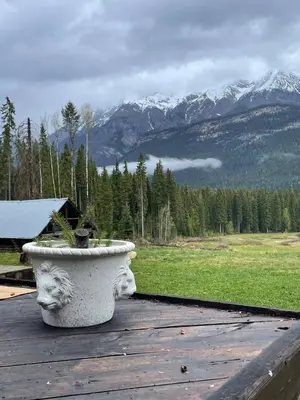 a planter sitting on top of a wooden deck with mountains at Rustic Beaverfoot Lodge Room N8 in Parson