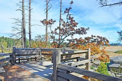 two wooden benches sitting next to a fence at Charming 3 Bedroom Suite in Victoria