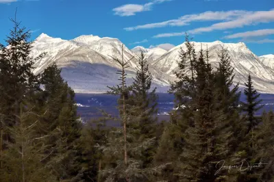 a snow covered mountain range with trees in the foreground at Carriage House - 2 suites- HIKE & REST - EV plug in Golden