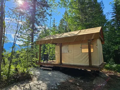 a yurt in the middle of the woods at Zest Campers Ltd in Golden