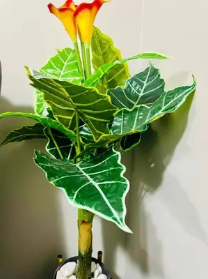 a plant in a vase with a flower in it at Parkside Luxury Stay with Xbox Entertainment in Calgary
