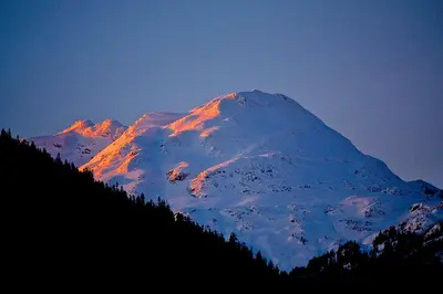 a snow covered mountain with trees in front of it at Whistler Highcamp in Whistler
