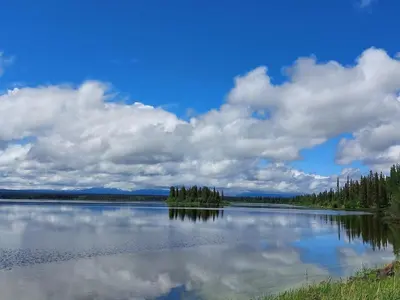 a large body of water with trees and clouds at Escott Bay Resort in Anahim Lake